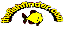 Fishfinder